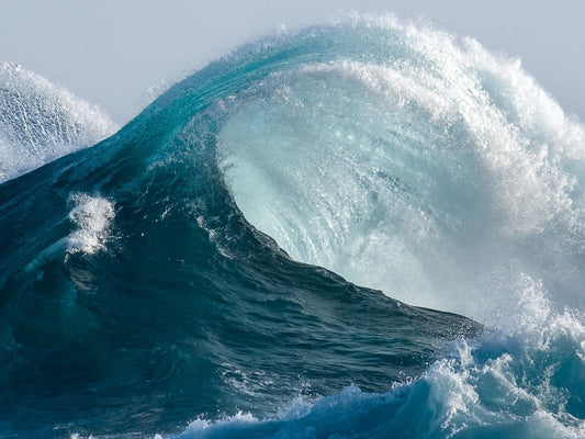 Top 10 Best Ingredients for Dry Skin