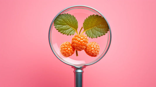 Cloud Berry Extract in Skincare